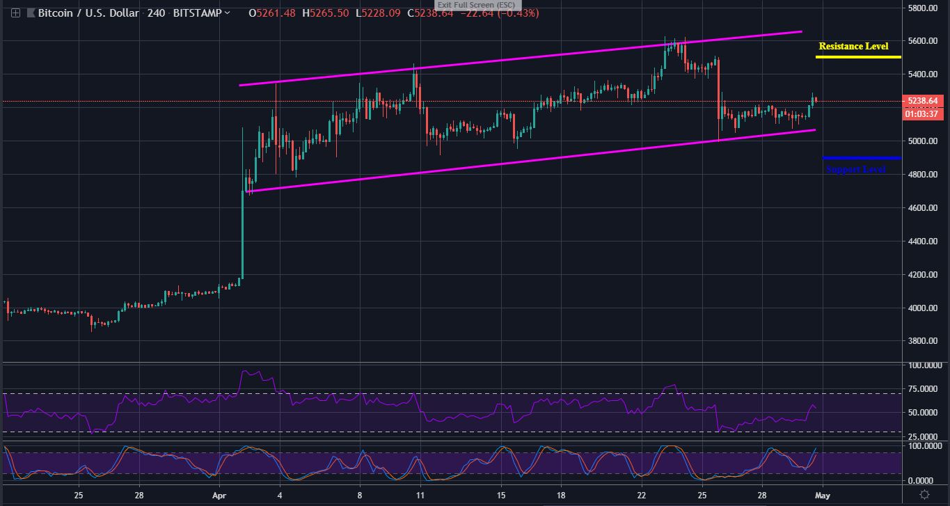  Bitcoin Trading: Steady Bitcoin Pumps a Slight Recovery in Top 20 Altcoins